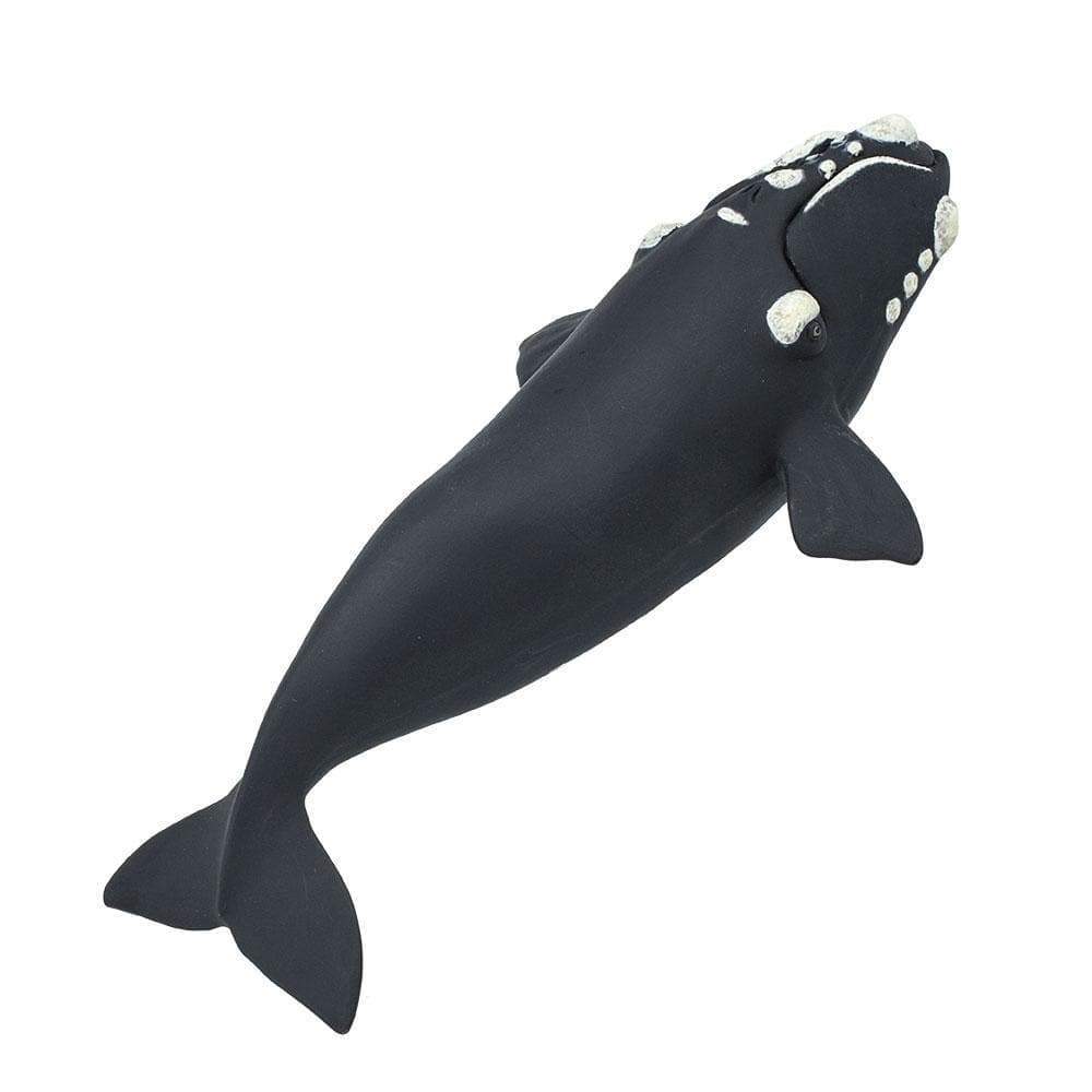 Figura Animales Ballena Franca Pintado a Mano