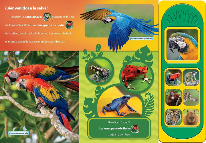 Libro Educativo National Geographic Animales Asombrosos Para Niños