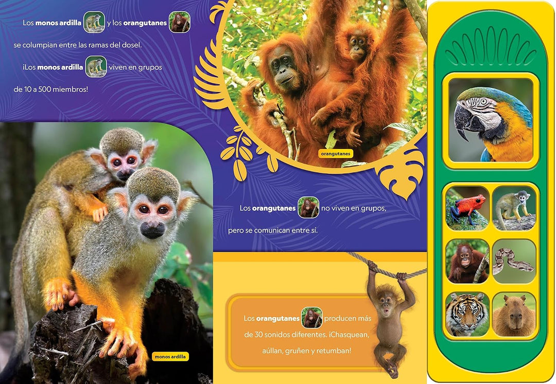 Libro Educativo National Geographic Animales Asombrosos Para Niños